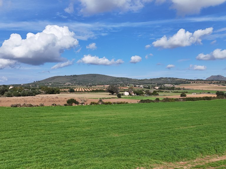 Plot for Sale in Manacor, Balearic Islands 10