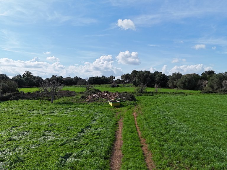 Plot for Sale in Manacor, Balearic Islands 11