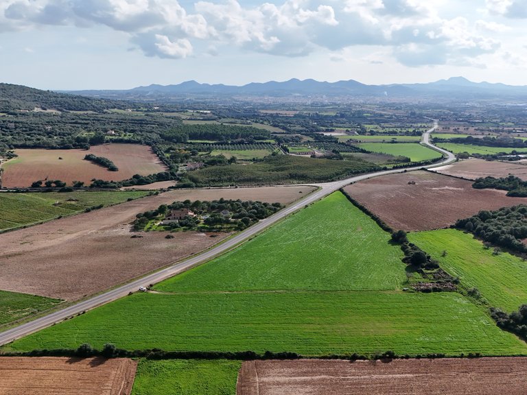 Plot for Sale in Manacor, Balearic Islands 8