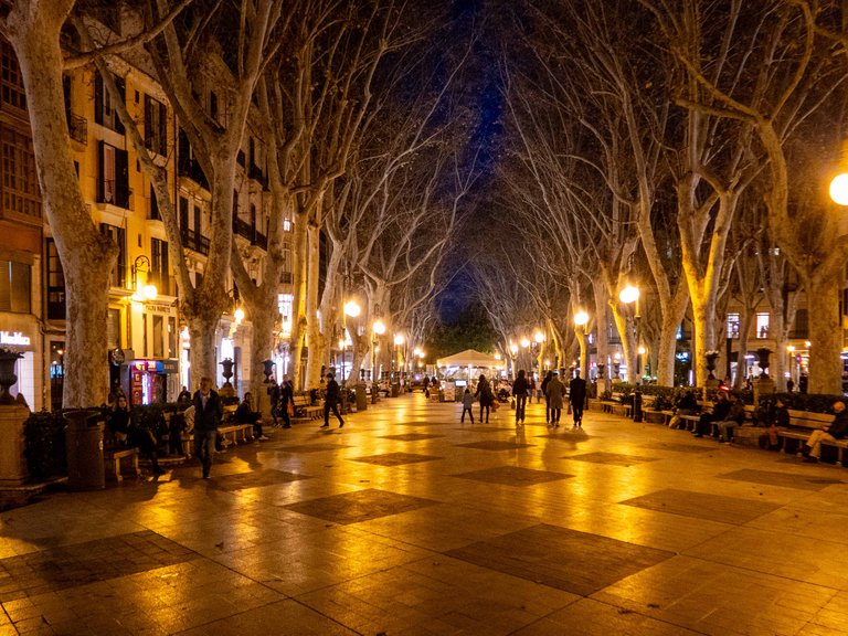 Apartment for Sale in Palma Old Town, Balearic Islands 26