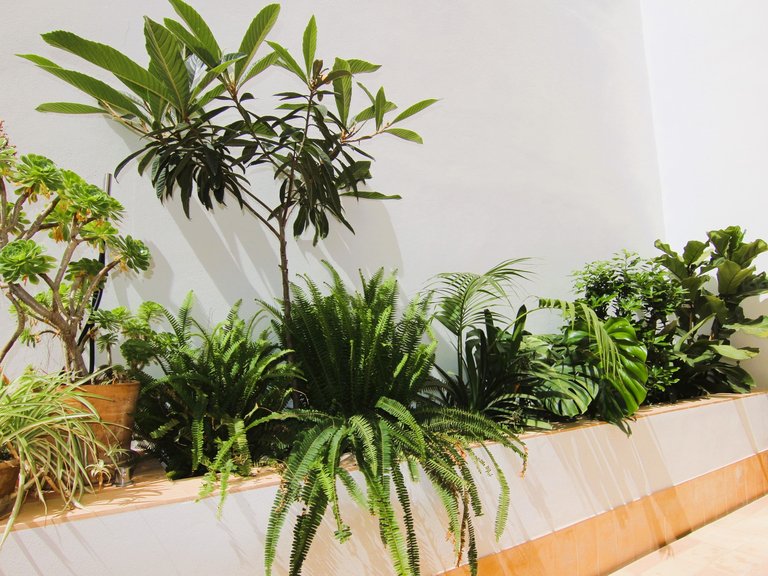 Apartment for Sale in Palma De Mallorca, Balearic Islands 18