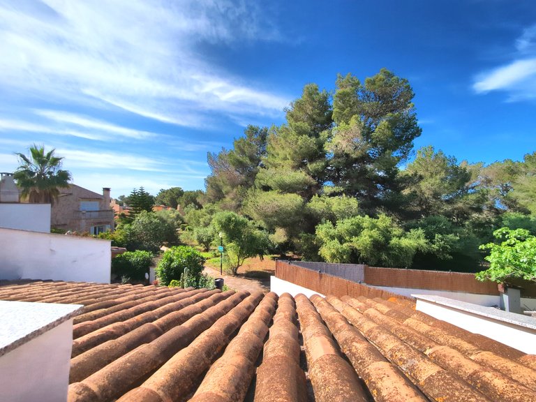 Villa for Sale in Sa Ràpita, Balearic Islands 13