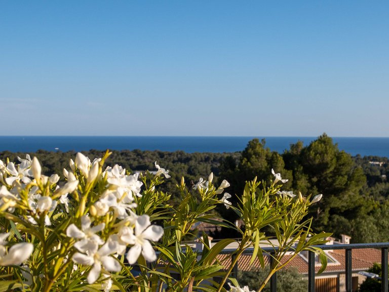 Apartment for Sale in Bendinat, Balearic Islands 27