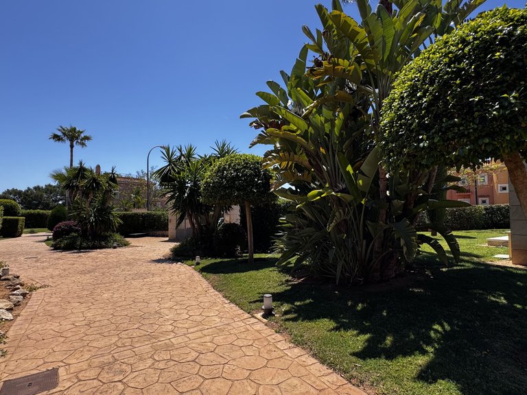 Apartment for Sale in Sa Ràpita, Balearic Islands 25