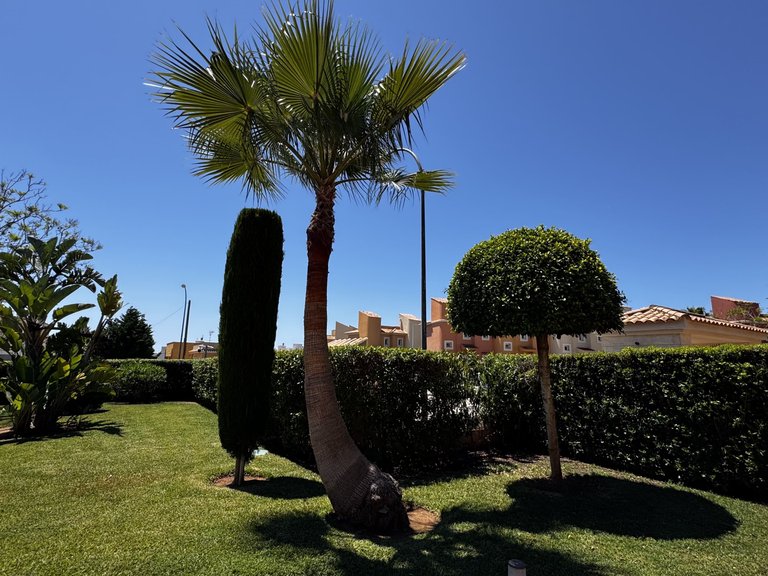 Apartment for Sale in Sa Ràpita, Balearic Islands 23