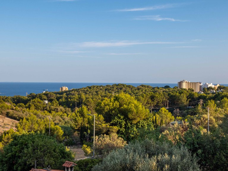 Villa for Sale in Gènova, Balearic Islands 29