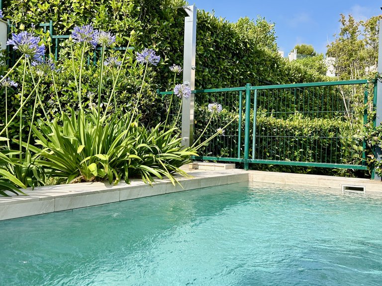 Villa for Sale in Cala Vinyas, Balearic Islands 19