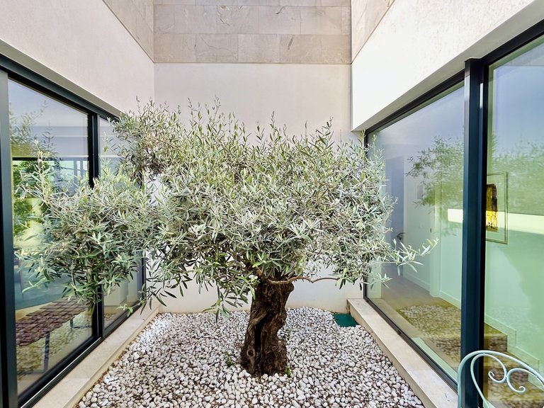 Villa for Sale in Cala Vinyas, Balearic Islands 3