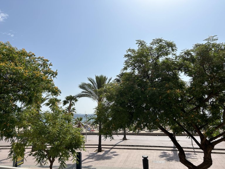 Apartment for Rent in Palmanova, Balearic Islands 1