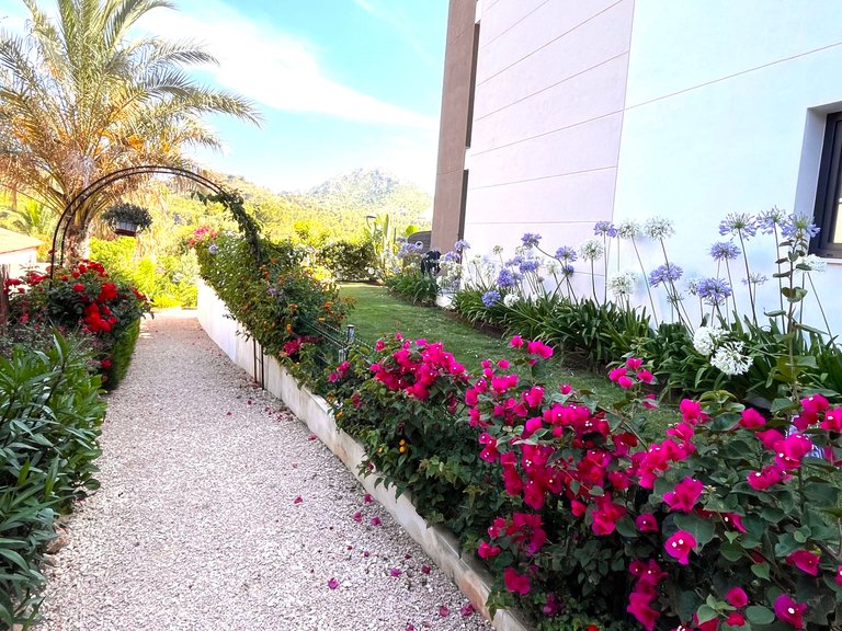 Apartment for Sale in Capdepera, Balearic Islands 12