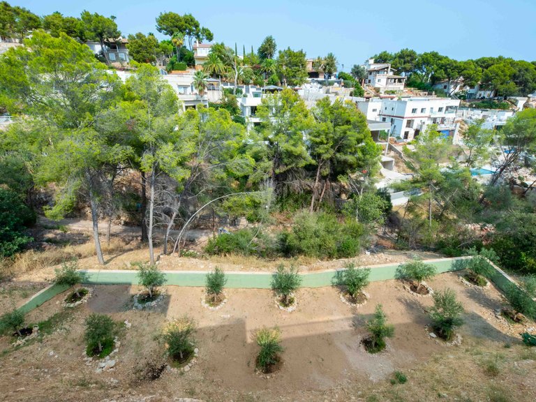 Villa for Sale in Costa D´en Blanes, Balearic Islands 19