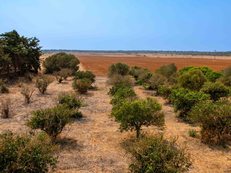 Country House for Sale in Santanyí, Balearic Islands 30