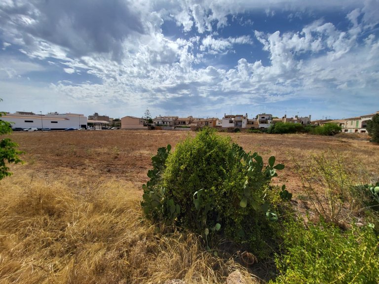 Plot for Sale in Llucmajor, Balearic Islands 2