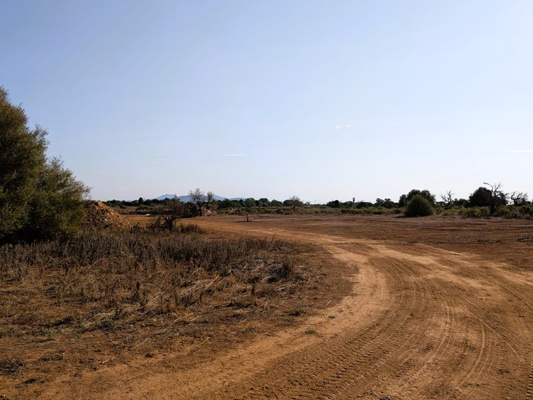 Plot for Sale in Santanyí, Balearic Islands 4
