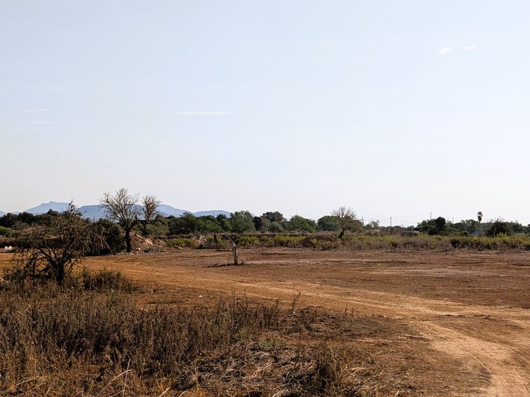 Plot for Sale in Santanyí, Balearic Islands 3