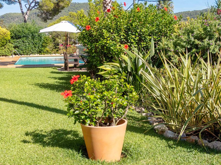 Villa for Sale in Puerto De Andratx, Balearic Islands 18