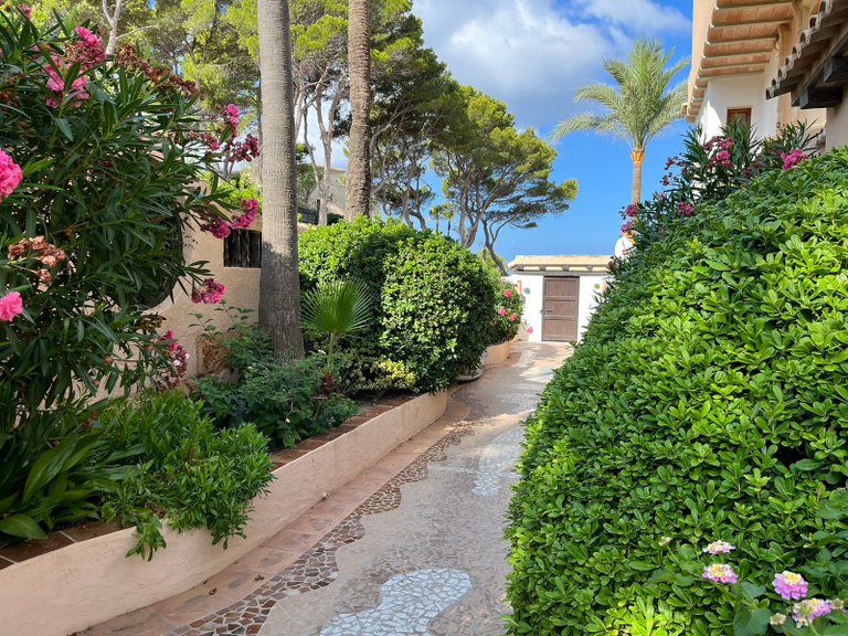 Apartment for Sale in Costa De La Calma, Balearic Islands 19