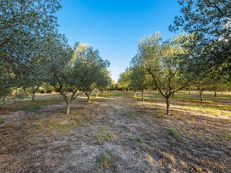 Country House for Sale in Campos, Balearic Islands 25