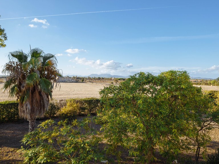 Country House for Sale in Campos, Balearic Islands 20