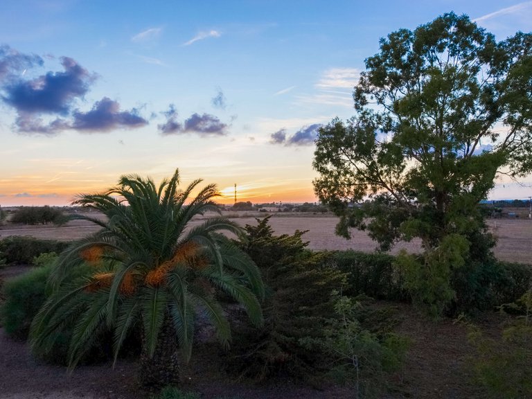 Country House for Sale in Campos, Balearic Islands 18