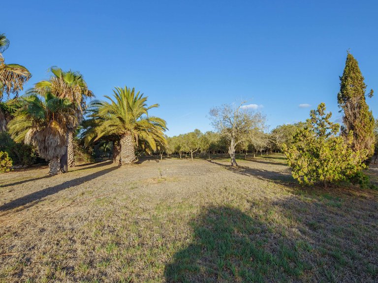 Country House for Sale in Campos, Balearic Islands 27