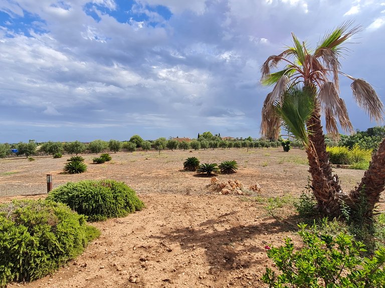Country House for Rent in Porto Cristo, Balearic Islands 30