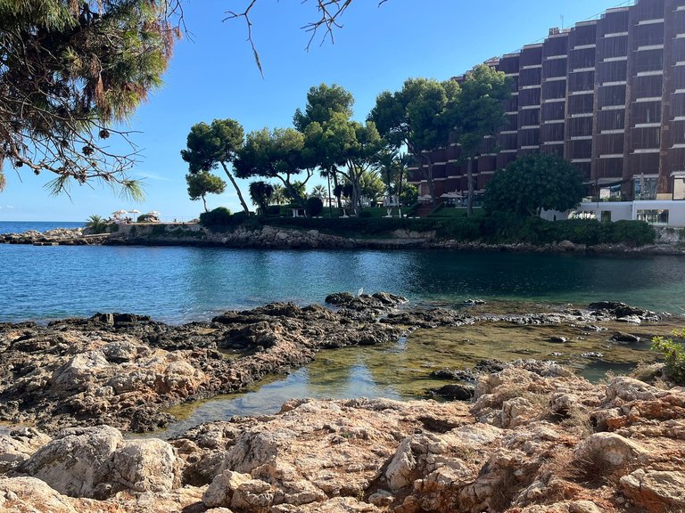 Apartment for Rent in Cas Català, Balearic Islands 19