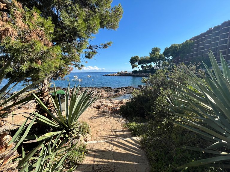 Apartment for Rent in Cas Català, Balearic Islands 18