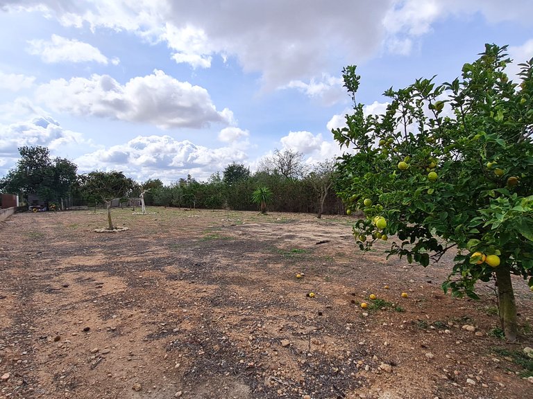Country House for Sale in Llucmajor, Balearic Islands 12