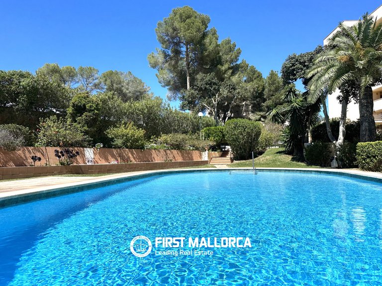 Apartment for Sale in Cala Vinyas, Balearic Islands 16