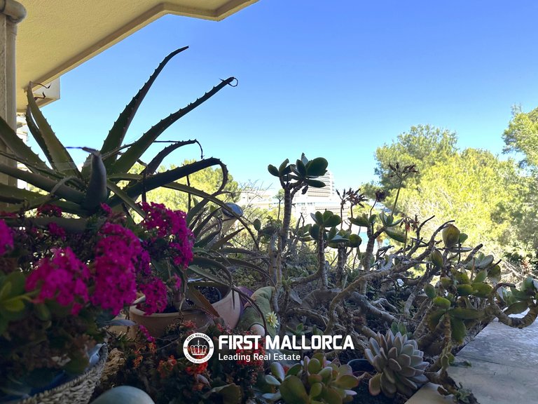 Apartment for Sale in Cala Vinyas, Balearic Islands 14