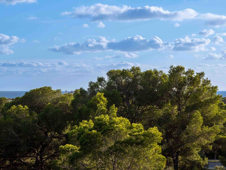 Villa for Sale in Santa Ponsa, Balearic Islands 33