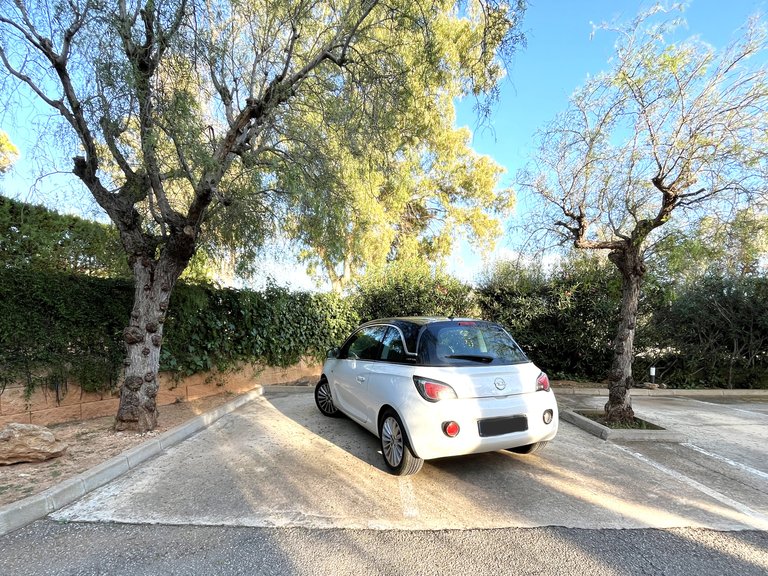 Apartment for Sale in Santa Ponsa, Balearic Islands 23