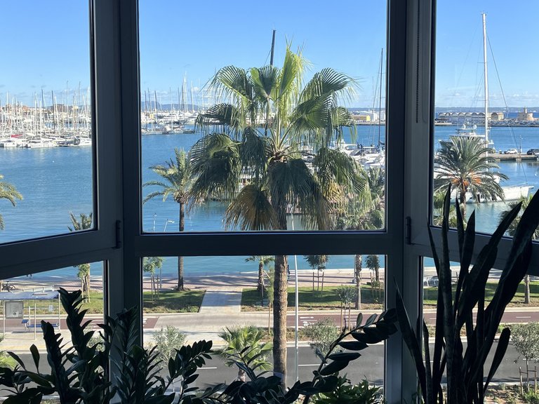 Apartment for Rent in Paseo Marítimo, Balearic Islands 9