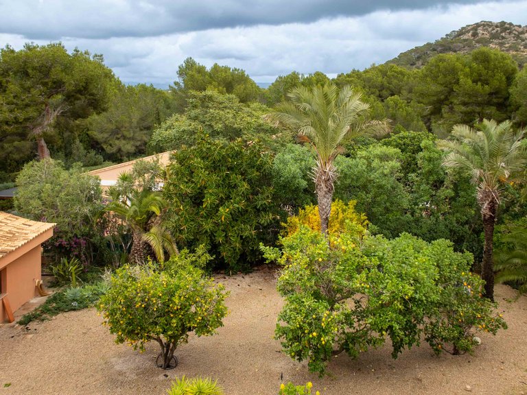 Villa for Sale in Nova Santa Ponsa, Balearic Islands 26