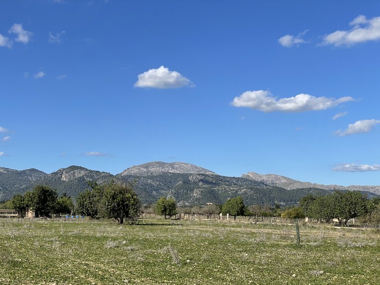 Plot for Sale in Moscari, Balearic Islands 2