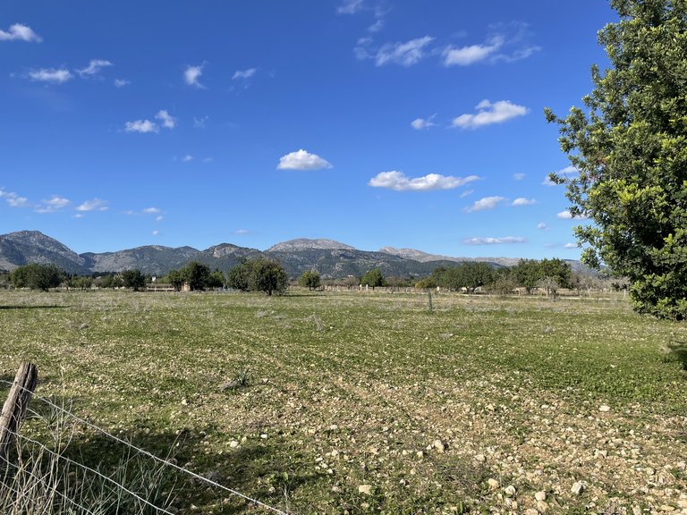 Plot for Sale in Moscari, Balearic Islands 1