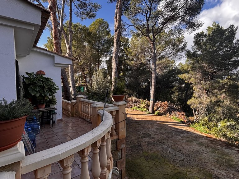 Villa for Sale in Nova Santa Ponsa, Balearic Islands 8