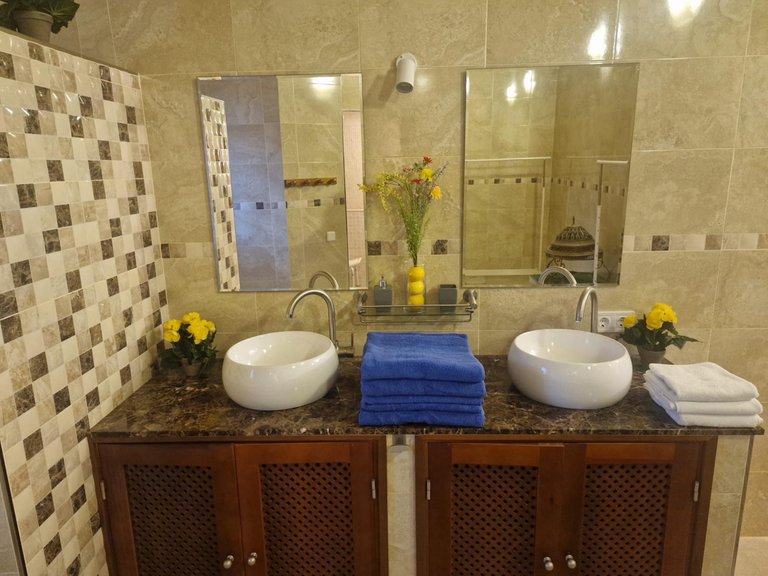 Villa for Sale in Palma De Mallorca, Balearic Islands 25