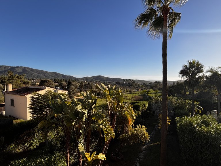 Villa for Sale in Calvià Village, Balearic Islands 17