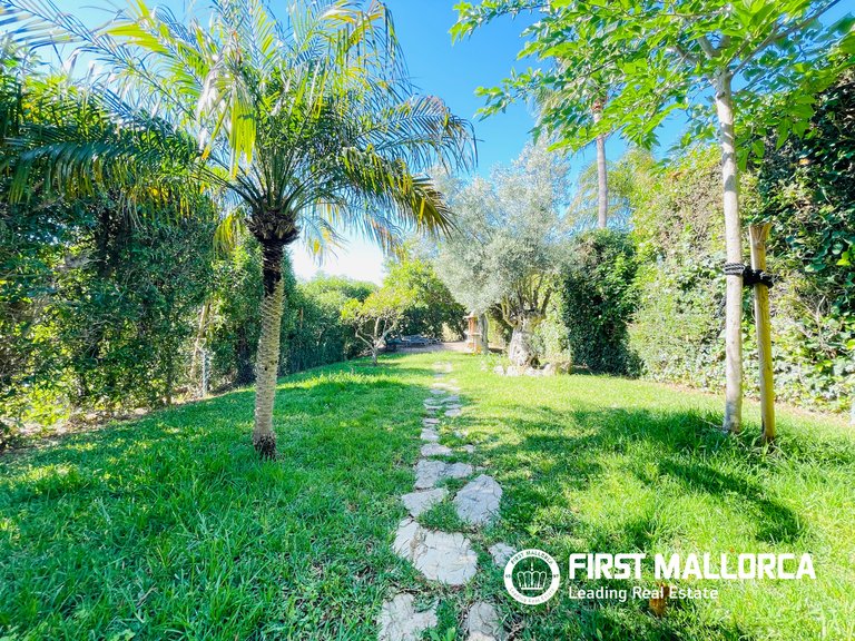 Villa for Sale in Calvià Village, Balearic Islands 19