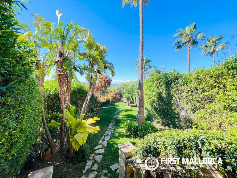 Villa for Sale in Calvià Village, Balearic Islands 20