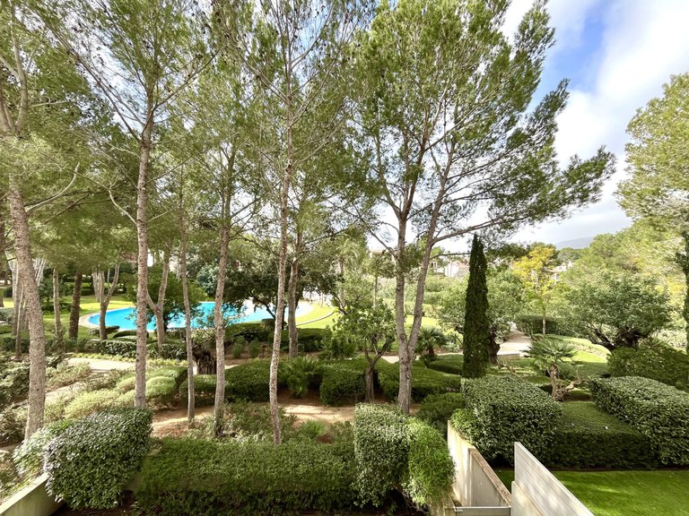 Apartment for Rent in Bendinat, Balearic Islands 21