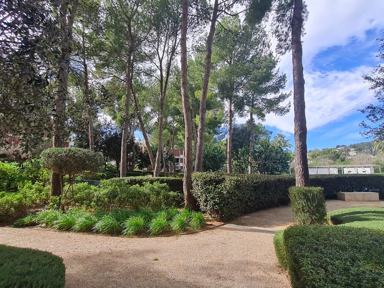 Apartment for Rent in Bendinat, Balearic Islands 32