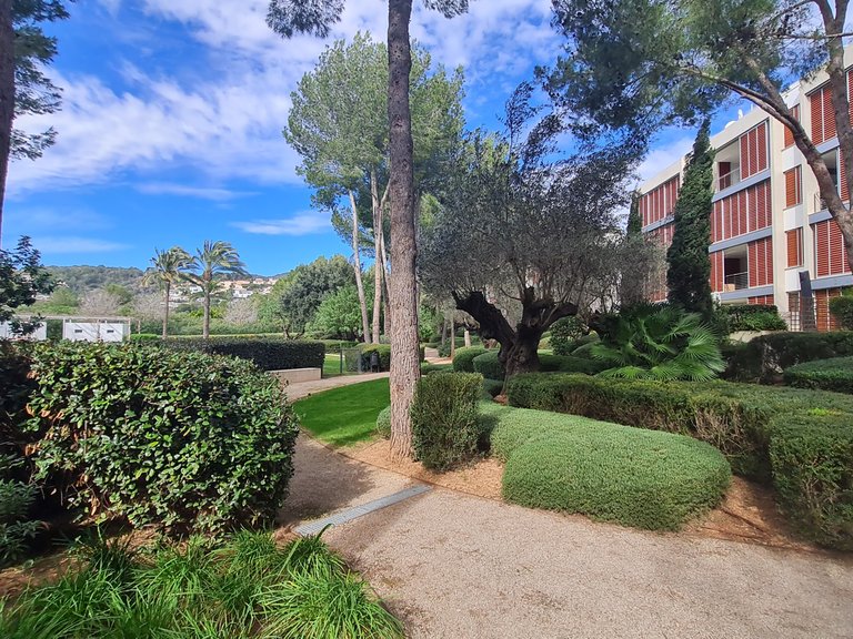 Apartment for Rent in Bendinat, Balearic Islands 31