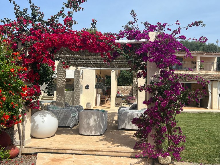 Country House for Sale in Santanyí, Balearic Islands 7