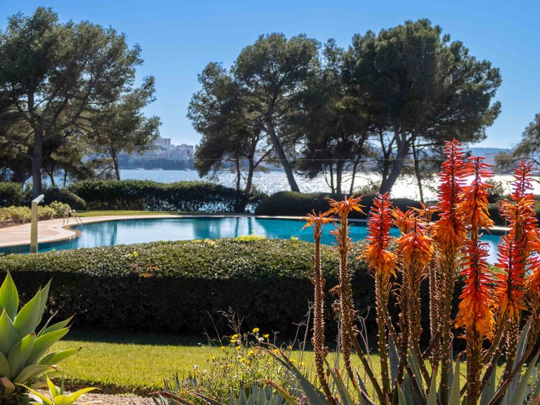 Apartment for Sale in Mardavall, Balearic Islands 20
