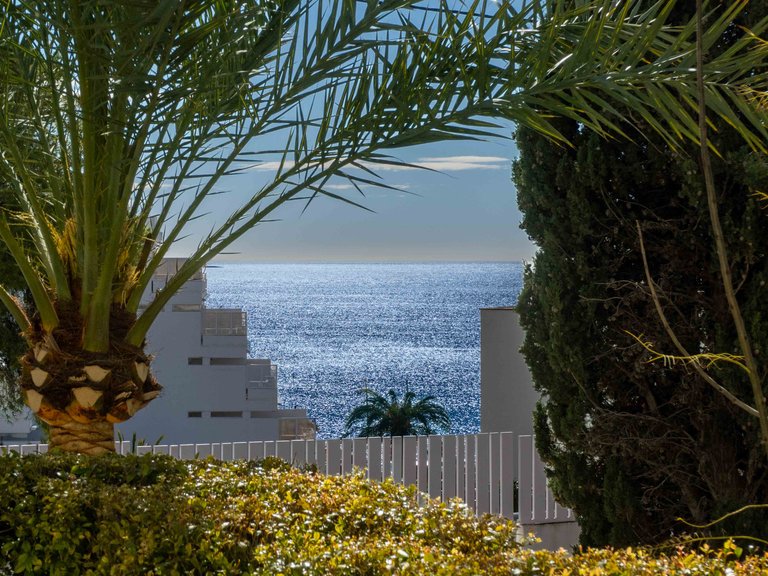 Apartment for Sale in Portals Nous, Balearic Islands 16