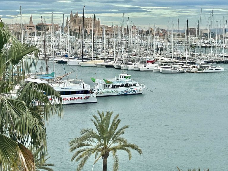 Apartment for Rent in Palma De Mallorca, Balearic Islands 1