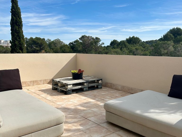 Apartment for Rent in Cala Vinyas, Balearic Islands 13